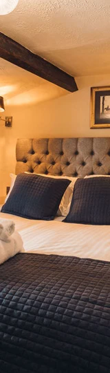 Classic Double Room Classic Double Room